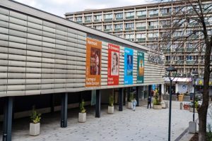 Expoziția Van Gogh la Art Safari: O Capodoperă în România