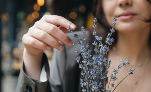 Lavanda: Afacerea înfloritoare din România