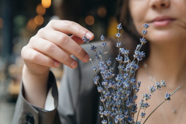 Lavanda: Afacerea înfloritoare din România