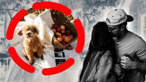 Olivia Culpo și Christian McCaffrey anunță al doilea copil