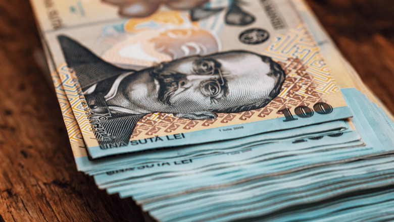 Antreprenorii români avertizează: Crize economice și soluții