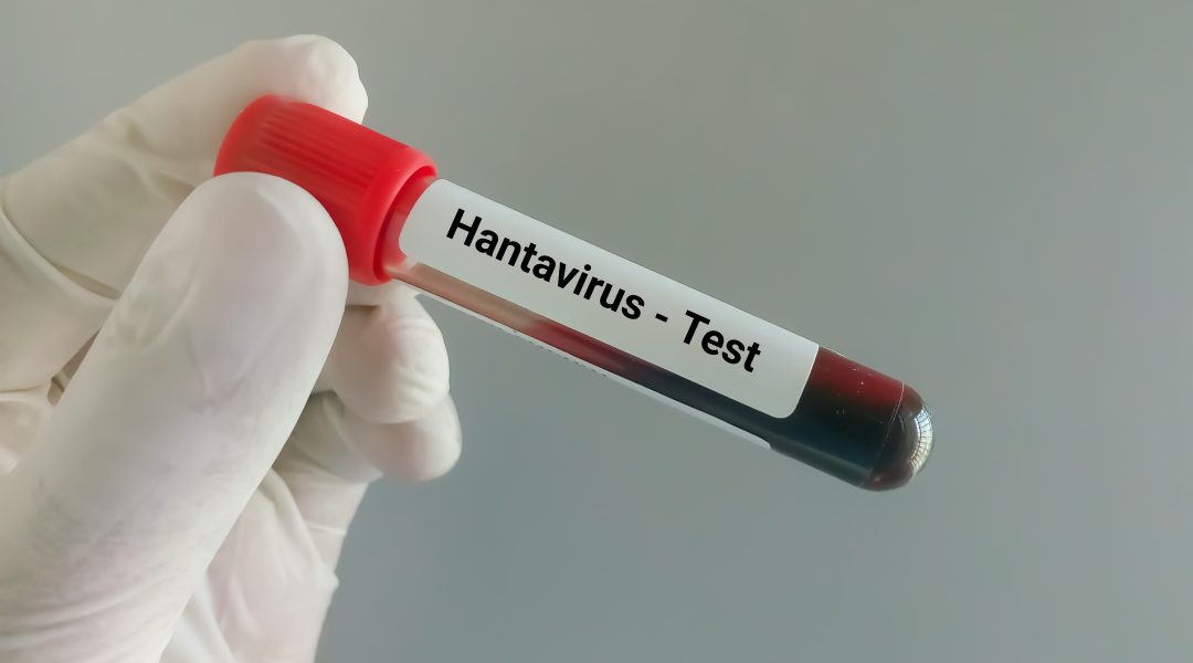 Hantavirusul: Focar pe nava de croazieră și riscurile pentru