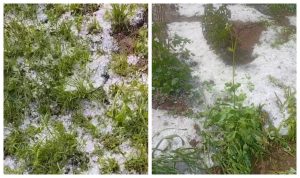 Furtuni devastatoare în România: Cod galben și pagube semnificative