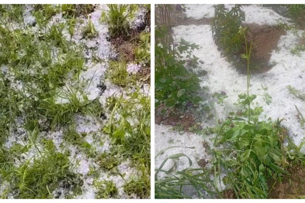 Furtuni devastatoare în România: Cod galben și pagube semnificative