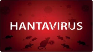 Evacuarea Urgentă a Navei MV Hondius din cauza Hantavirusulu