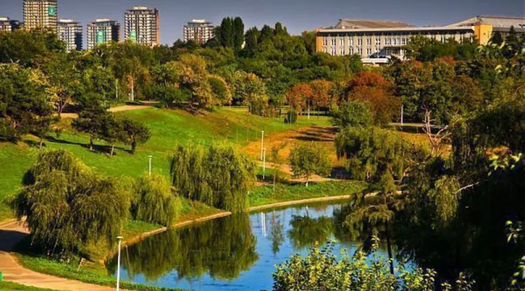 Tentativa de Înecare a Câinelui în Parcul Tineretului