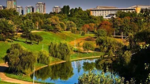 Tentativa de Înecare a Câinelui în Parcul Tineretului